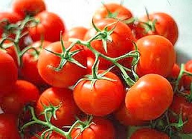 Pomodoro F.1 23