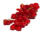 Ribes (bianco, rosso, nero)